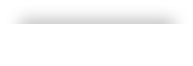 精彩案列标题